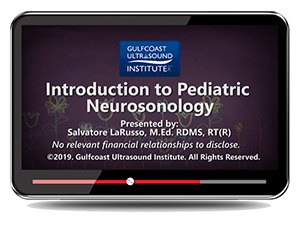 Introduction to Pediatric Neurosonology - Online Video