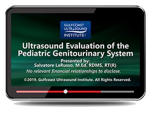 Ultrasound Evaluation of the Pediatric Genitourinary System - Online Video