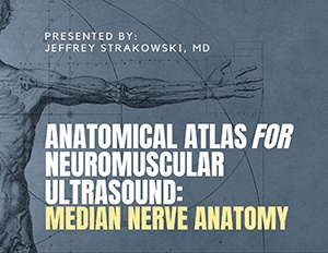 Anatomical Atlas For Neuromuscular Ultrasound: Median Nerve Anatomy