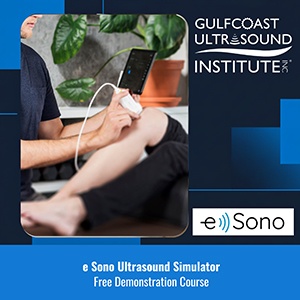E Sono Ultrasound Simulator Demo Course