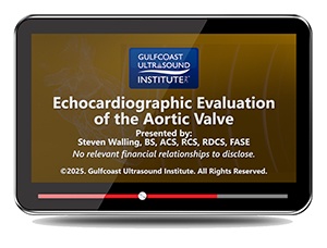 Echocardiographic Evaluation of the Aortic Valve - Online Video