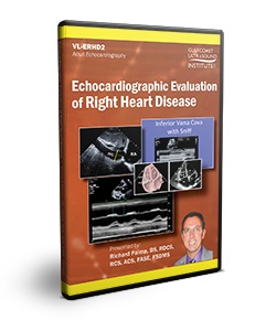 Echocardiographic Evaluation of Right Heart Disease - DVD
