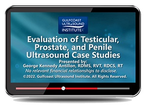 Evaluation of Testicular, Prostate, and Penile Ultrasound Case Studies