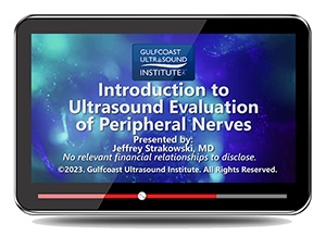 Introduction to Ultrasound Evaluation of Peripheral Nerves