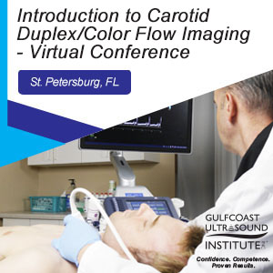  Introduction to Carotid Duplex/Color Flow Imaging