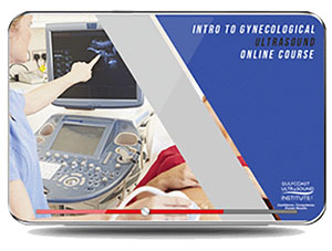 Introduction to Gynecological Ultrasound
