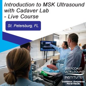 Introduction to Musculoskeletal Ultrasound with Interventional Human Cadaver Lab