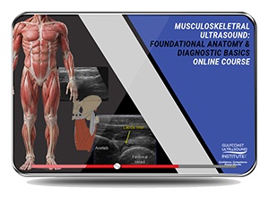 Musculoskeletal Ultrasound: Foundational Anatomy & Diagnostic Basics