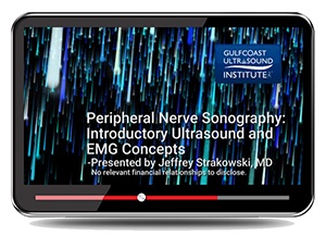 Peripheral Nerve Sonography: Introductory Ultrasound and EMG Concepts