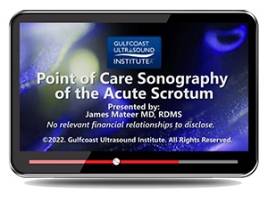 Point of Care Sonography of the Acute Scrotum