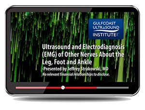 Ultrasound and Electrodiagnosis (EMG) of Other Nerves About the Leg, Foot and Ankle