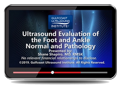Ultrasound Evaluation of the Foot and Ankle: Normal and Pathology
