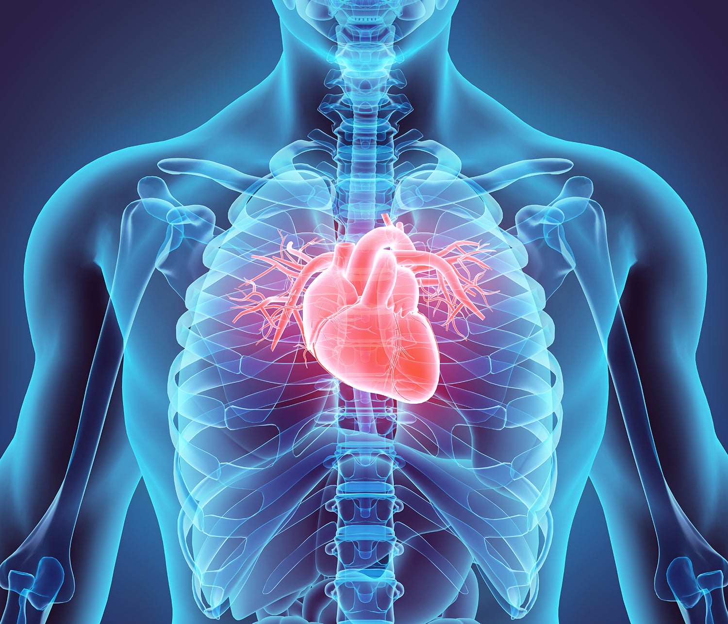 Ultrasound Evaluation of Heart Failure
