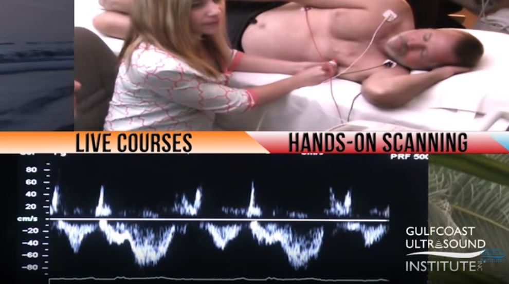 Echocardiography Training and CME Courses 