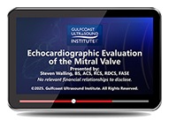 CME - Echocardiographic Evaluation of the Mitral Valve