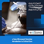 CME - Introduction to Critical Care Ultrasound Simulator